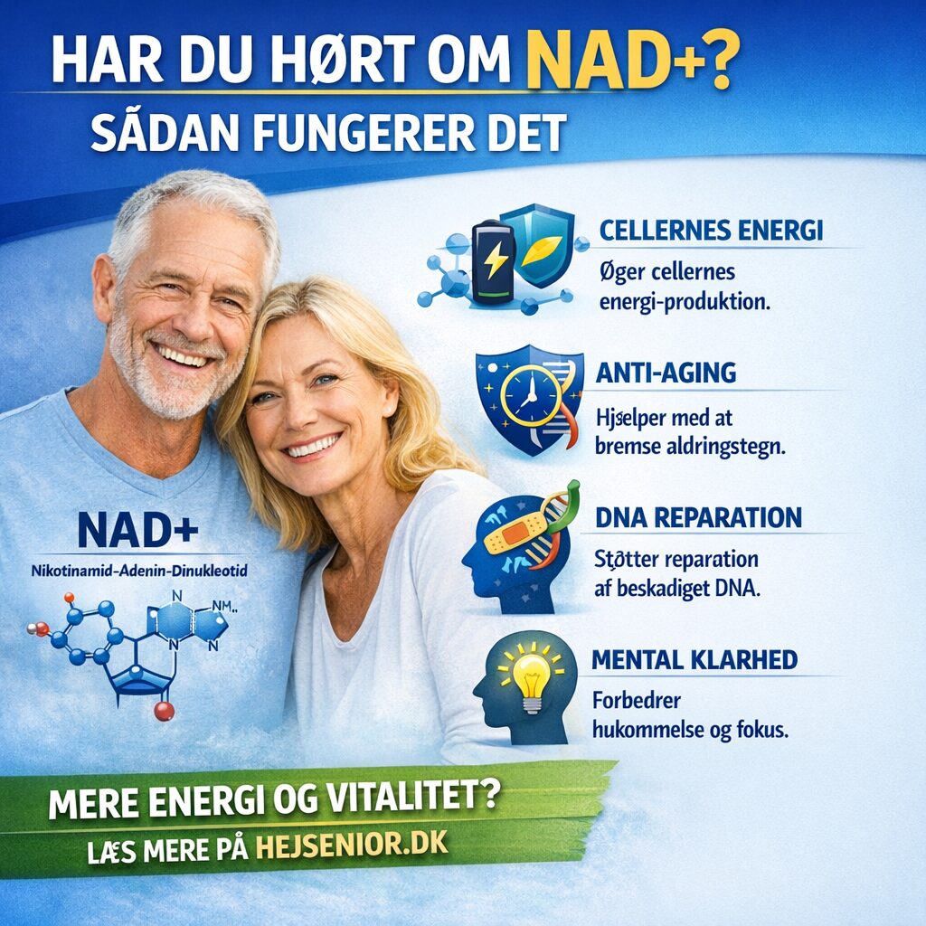 OpenAI Playground 2026-03-18 at 15.14.36